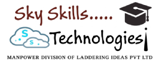 Sky Skills Technologies Logo
